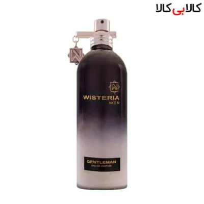 ادوپرفیوم ویستریا جنتلمن Wisteria Gentleman مردانه حجم 100 میلی لیتر