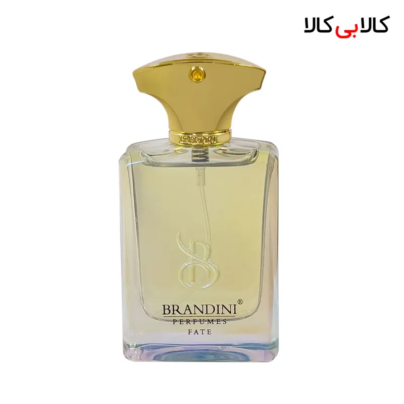 بردینی فیت من