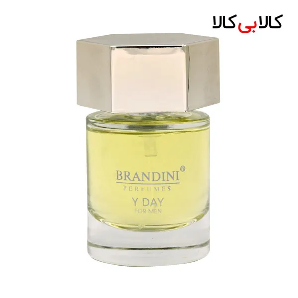 برندینی وای دی