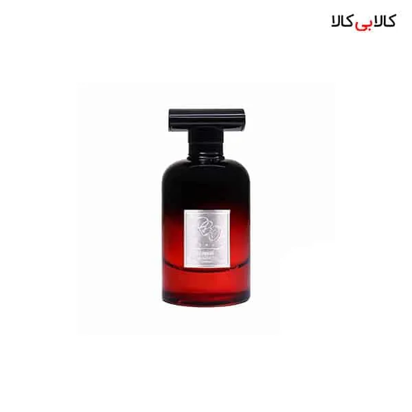 ادوپرفیوم آر بی سی لاجیکال RBC Logical مردانه حجم 100 میلی لیتر
