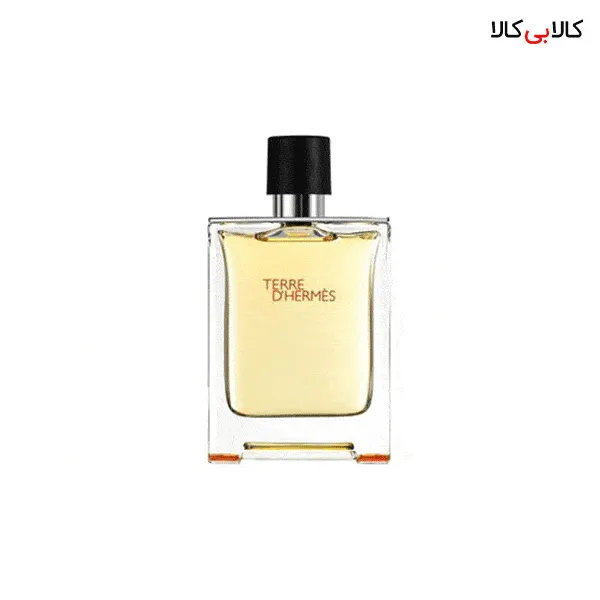 ادوپرفیوم نایس پاپت تق هرمس Nice Puppet Terre D'Hermes مردانه حجم 100 میلی لیتر