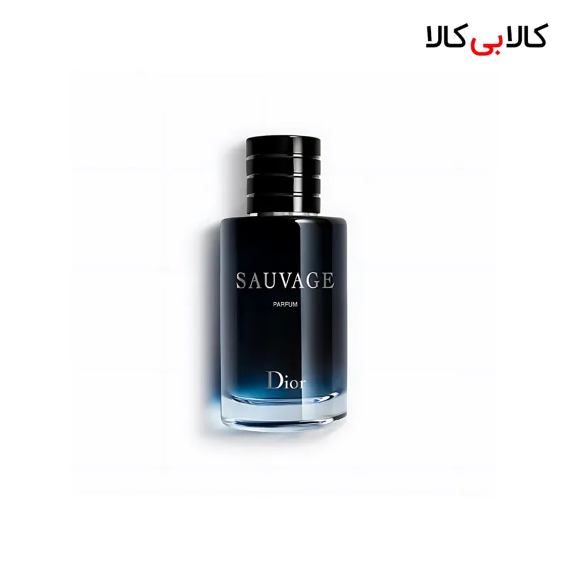 ادکلن ساواج دیور اصل مردانه حجم 100 میلی لیتر