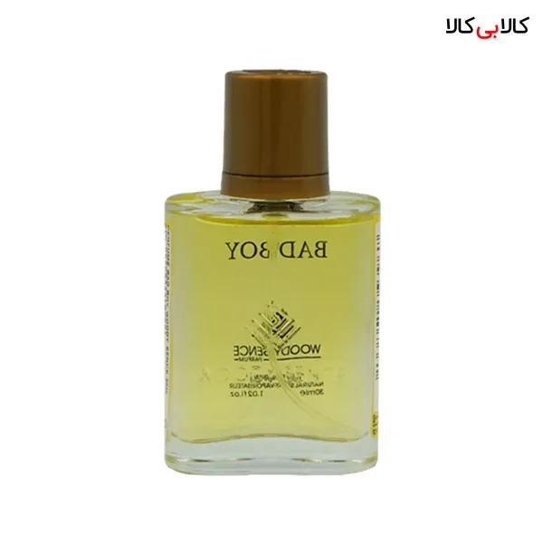 عطر جیبی وودی سنس بد بوی مردانه حجم 30 میلی لیتر