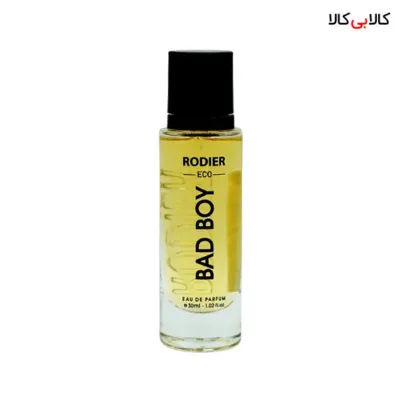عطر جیبی رودیر اکو بد بوی مردانه حجم 30 میلی لیتر