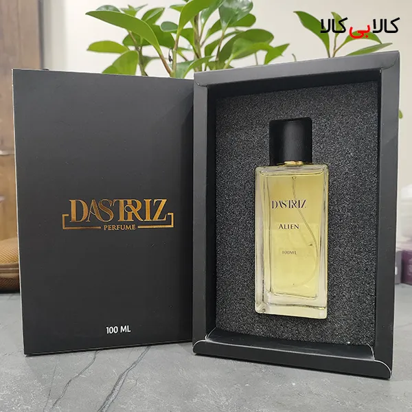 عطر دستریز مدل الین زنانه حجم 100 میلی لیتر