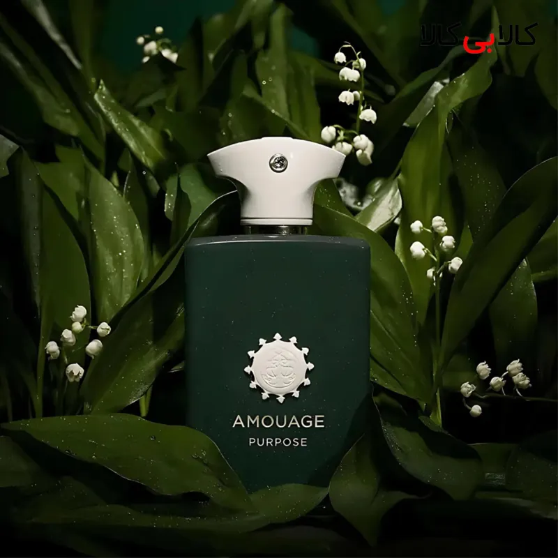 ادکلن آمواج پورپوس مردانه و زنانه حجم 100 میلی لیتر (باکس اصلی - اماراتی)