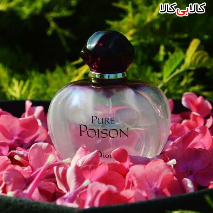 ادو پرفیوم دیور پیور پویزن Dior Pure Poison زنانه حجم 100 میلی لیتر کیفیت A+