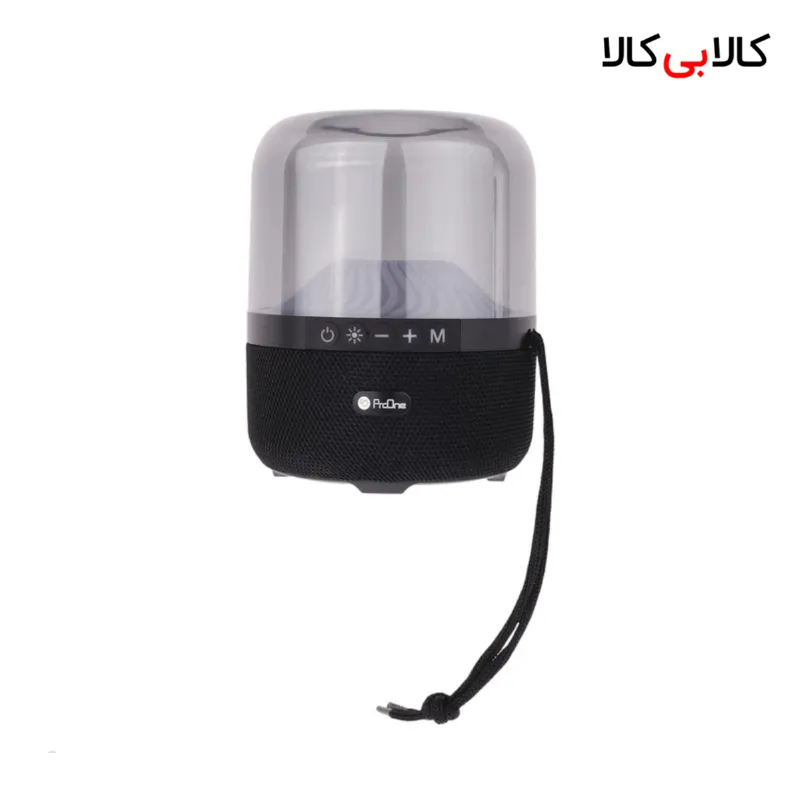 اسپیکر قابل حمل پرووان مدل PSB4118