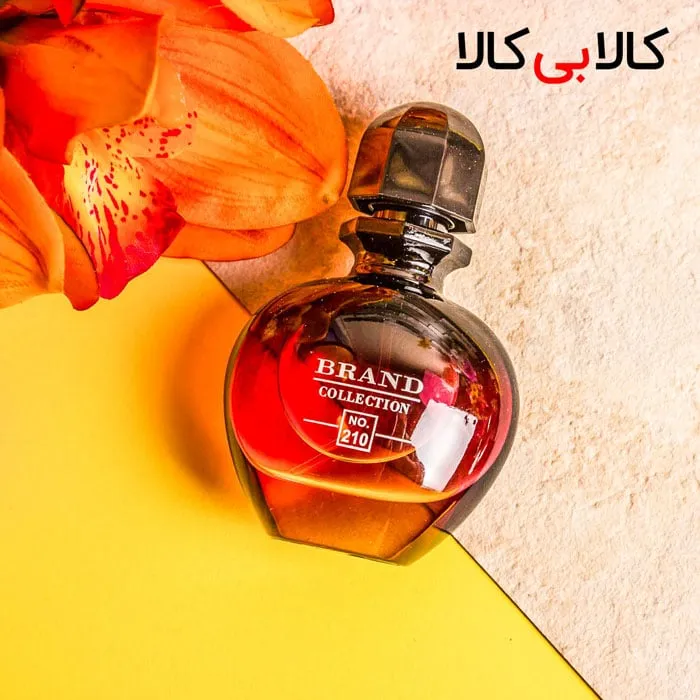 عطر جیبی زنانه برند کالکشن کد 210 NO حجم 25 میلی لیتر