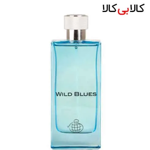 ادوپرفیوم فراگرنس ورد ویلد بلوز Wild Blues مردانه حجم 115 میلی لیتر