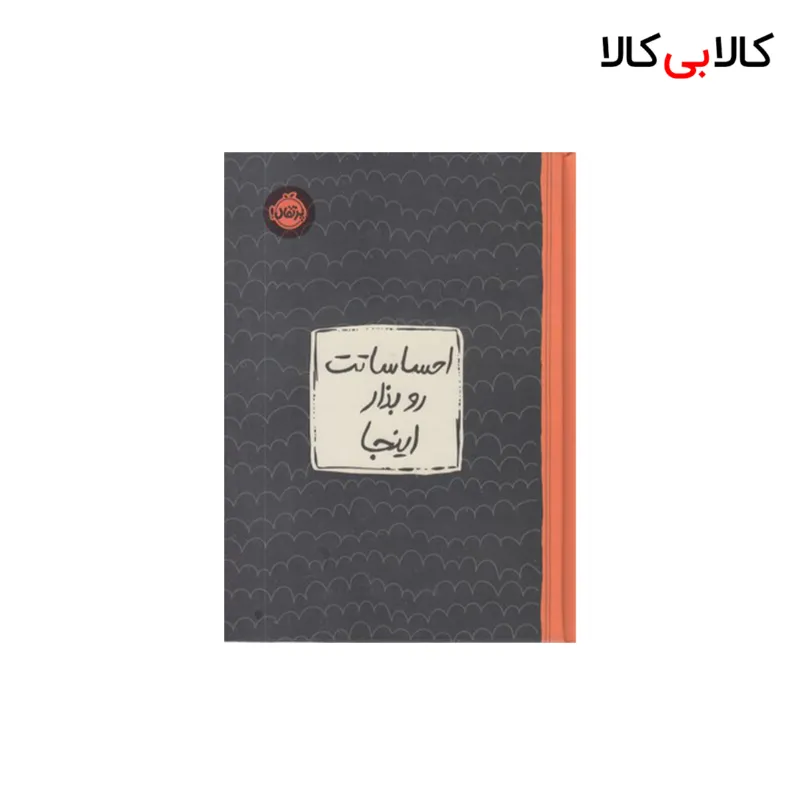 کتاب احساساتت رو بذار اینجا اثر لیسا ام شاب انتشارات پرتقال