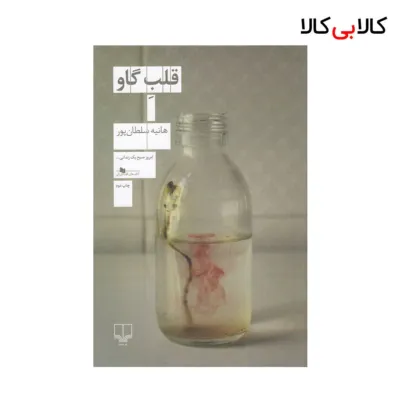 کتاب قلب گاو اثر هانیه سلطان پور نشر چشمه