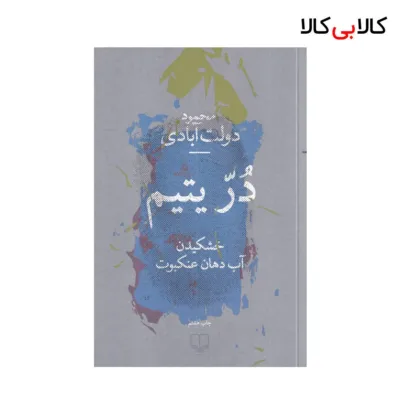 کتاب در یتیم: خشکیدن آب دهان عنکبوت اثر محمود دولت ابادی نشر چشمه