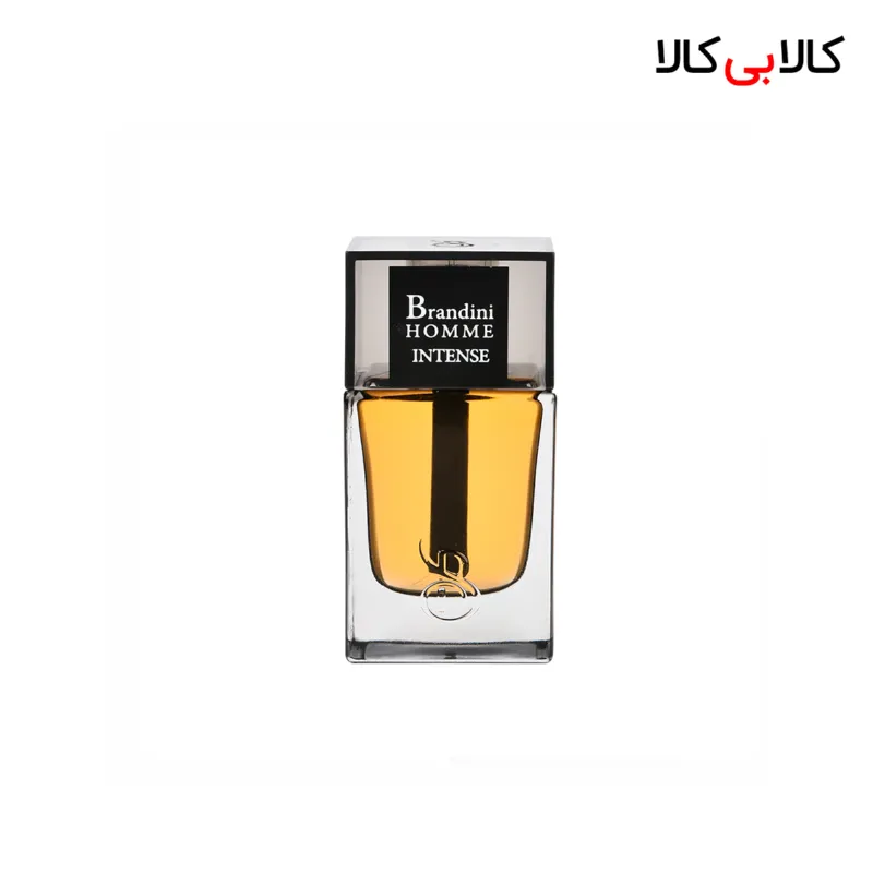 عطر جیبی برندینی هوم اینتنس مردانه 33 میلی لیتر