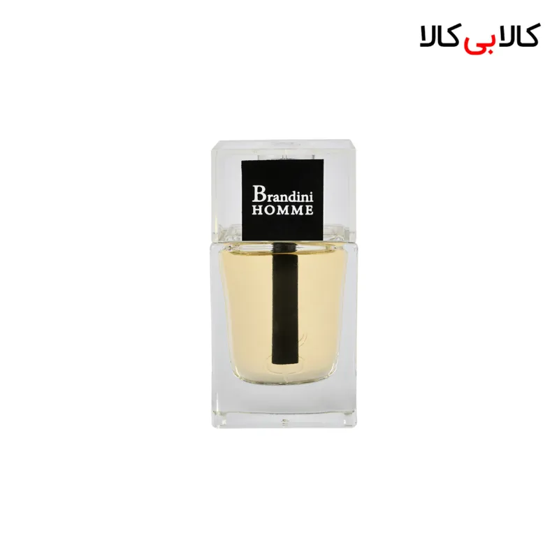 عطر جیبی برندینی هوم مردانه 33 میلی لیتر
