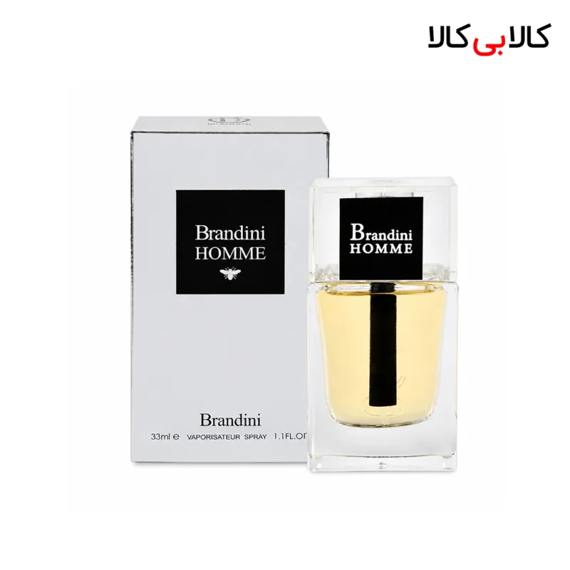 عطر جیبی برندینی هوم مردانه 33 میلی لیتر