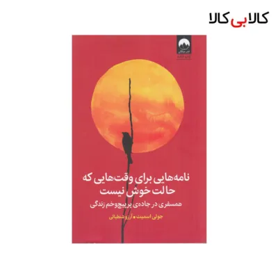 کتاب نامه‌هایی برای وقت‌هایی که حالت خوش نیست اثر جولی اسمیت نشر میلکان