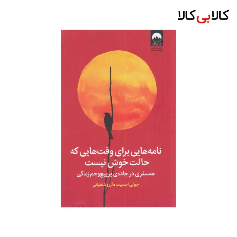 کتاب نامههایی برای وقتهایی که حالت خوش نیست اثر جولی اسمیت نشر میلکان