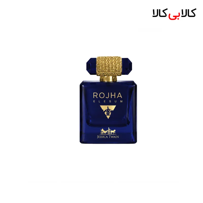 ادکلن جسیکا تویین روژا الیزیوم مردانه حجم 100 میلی لیتر