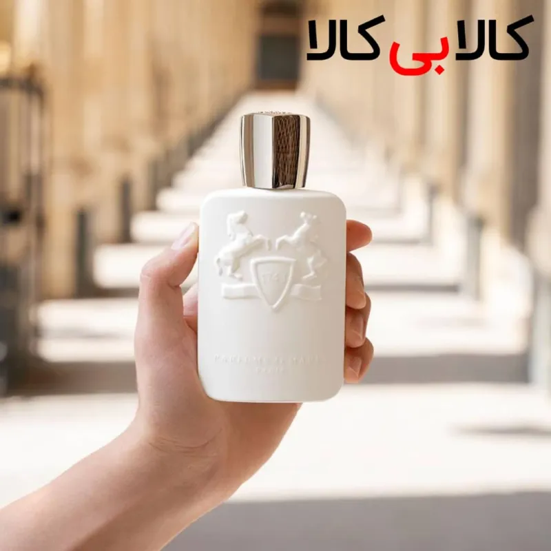 ادوپرفیوم مارلی گالووی Parfums de Marly Galloway مردانه و زنانه حجم 125 میلی لیتر باکس اصلی